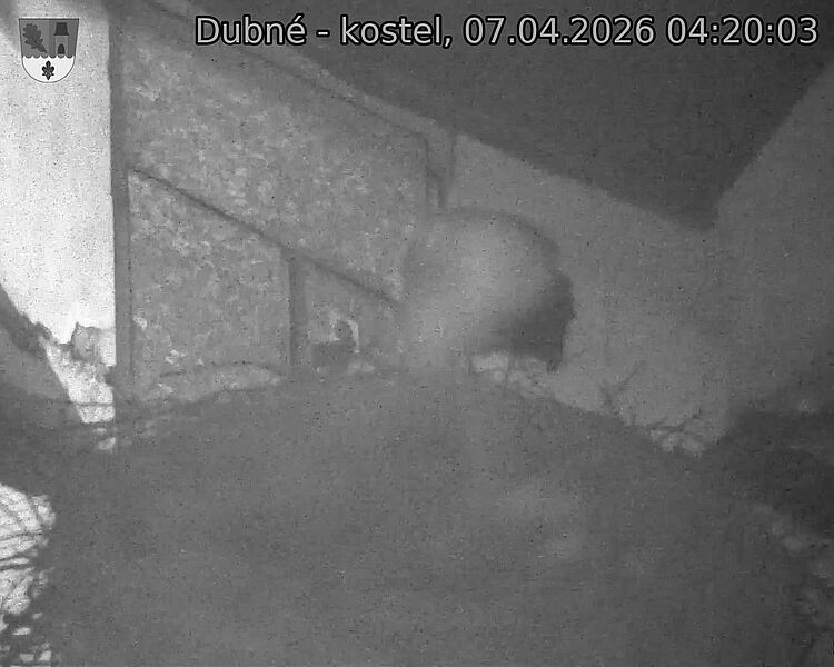 Capi_Dubne_20260407_042003.jpg (1350&nbsp;x&nbsp;1080)