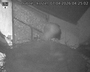 Capi_Dubne_20260407_042502.jpg (1350&nbsp;x&nbsp;1080)