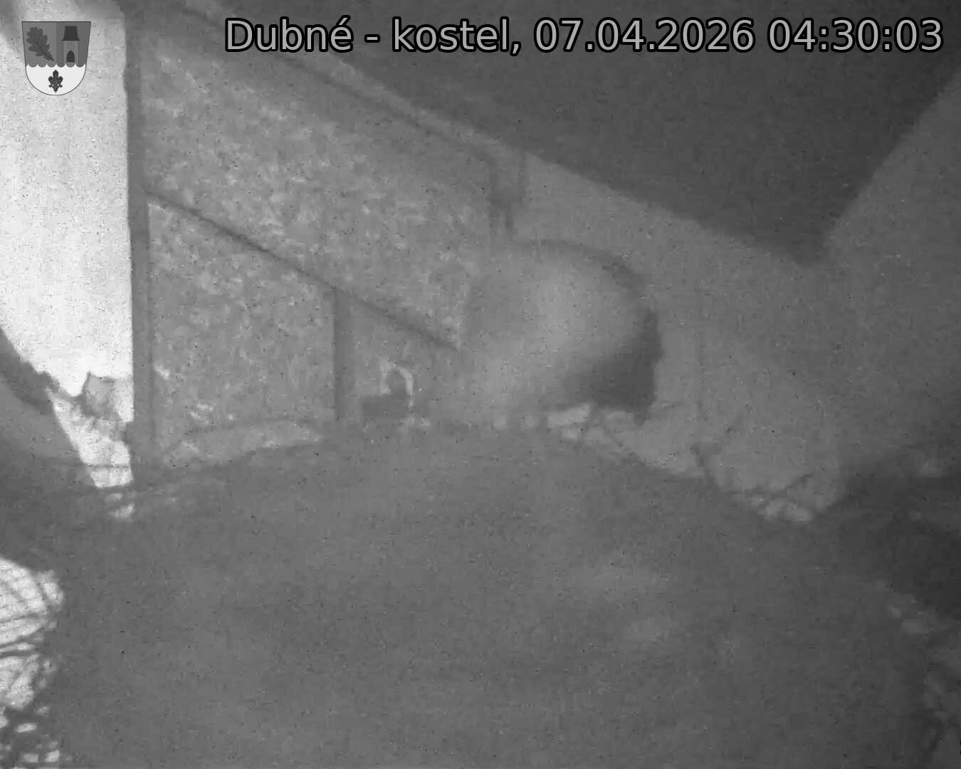 Capi_Dubne_20260407_043003.jpg (1350&nbsp;x&nbsp;1080)