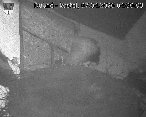 Capi_Dubne_20260407_043003.jpg (1350&nbsp;x&nbsp;1080)