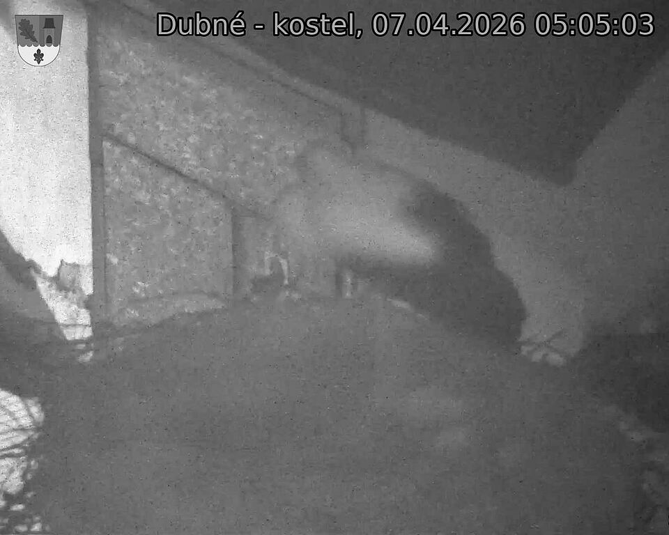 Capi_Dubne_20260407_050503.jpg (1350&nbsp;x&nbsp;1080)