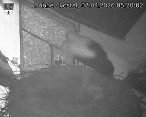 Capi_Dubne_20260407_052002.jpg (1350&nbsp;x&nbsp;1080)