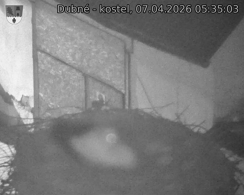 Capi_Dubne_20260407_053503.jpg (1350&nbsp;x&nbsp;1080)