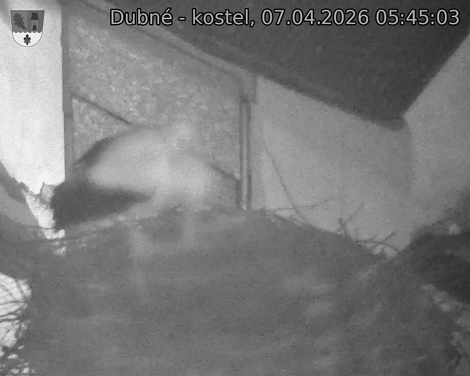 Capi_Dubne_20260407_054503.jpg (1350&nbsp;x&nbsp;1080)