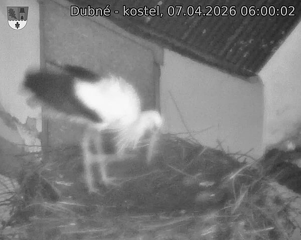 Capi_Dubne_20260407_060002.jpg (1350&nbsp;x&nbsp;1080)