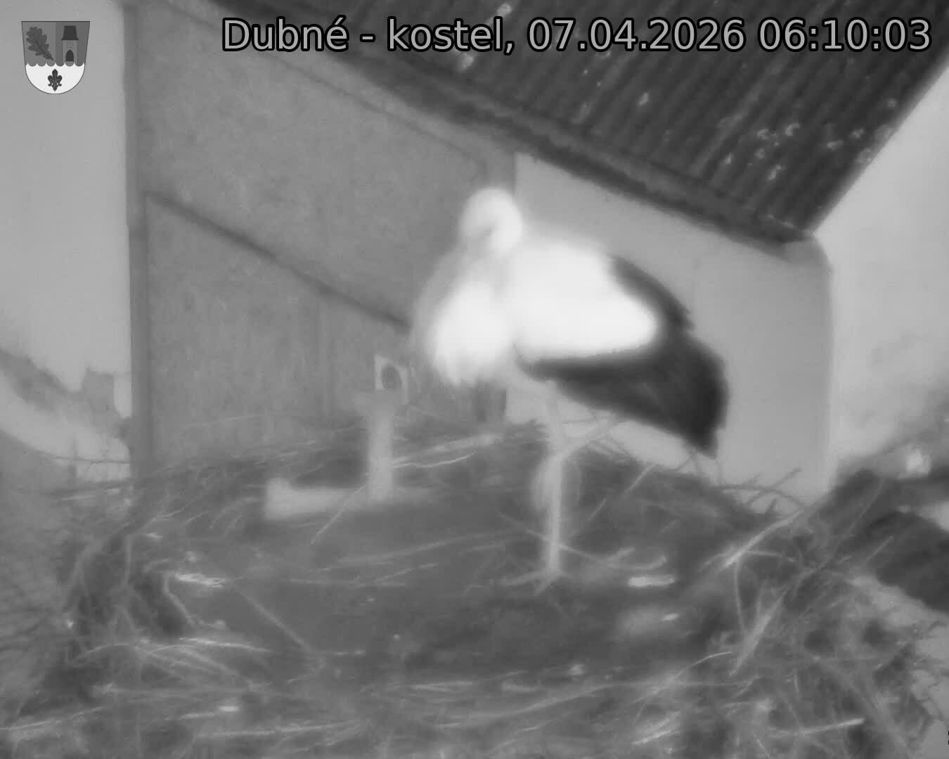 Capi_Dubne_20260407_061003.jpg (1350&nbsp;x&nbsp;1080)