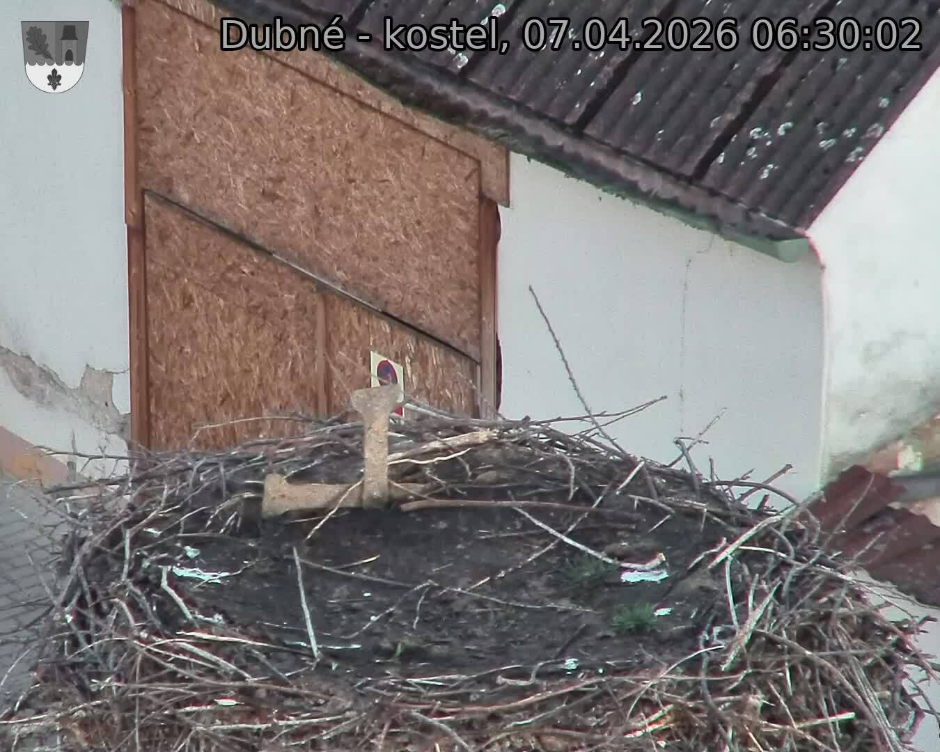 Capi_Dubne_20260407_063002.jpg (1350&nbsp;x&nbsp;1080)