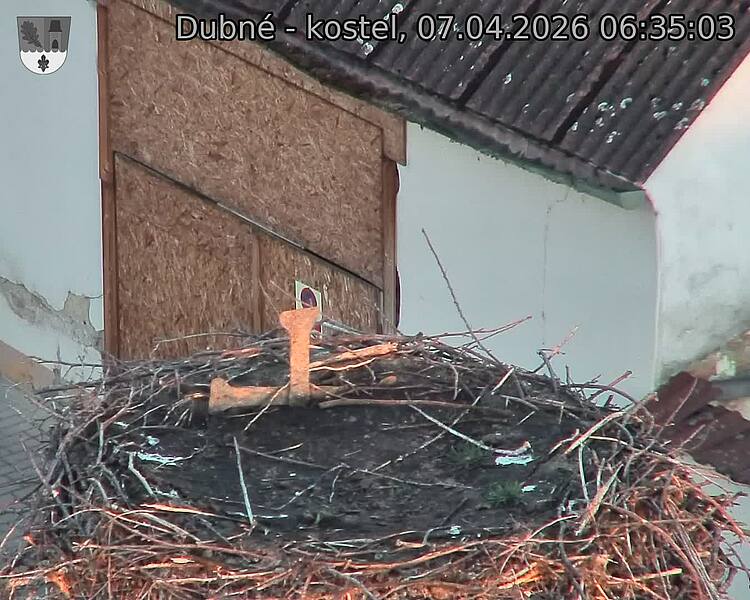 Capi_Dubne_20260407_063503.jpg (1350&nbsp;x&nbsp;1080)