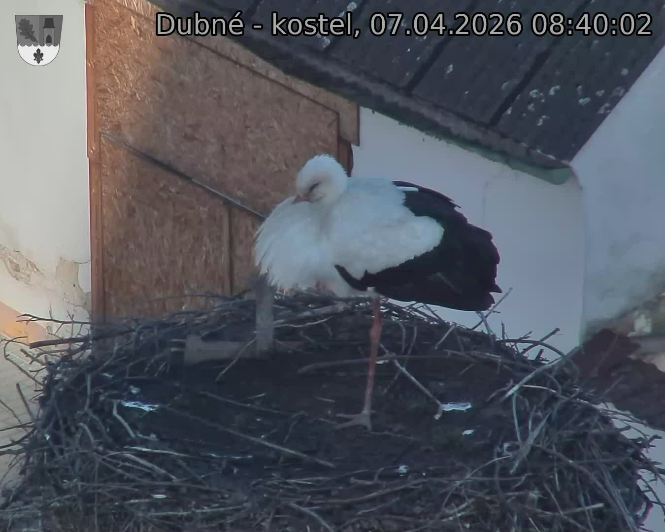 Capi_Dubne_20260407_084002.jpg (1350&nbsp;x&nbsp;1080)