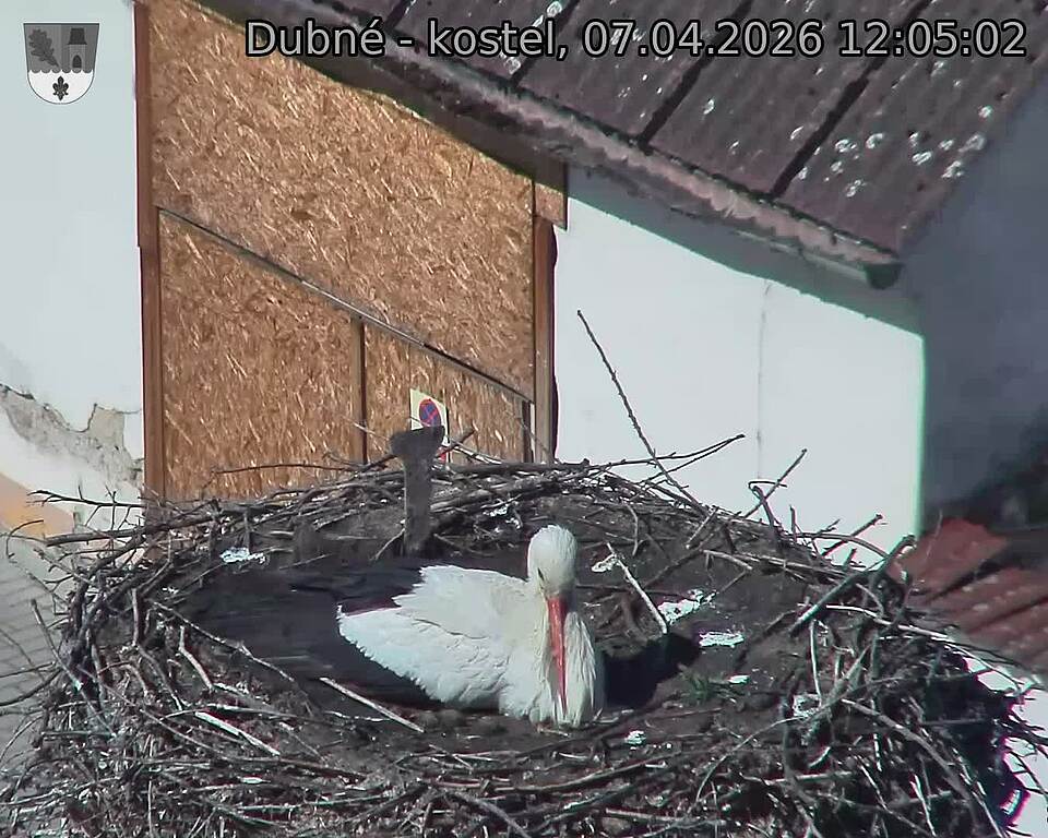 Capi_Dubne_20260407_120502.jpg (1350&nbsp;x&nbsp;1080)