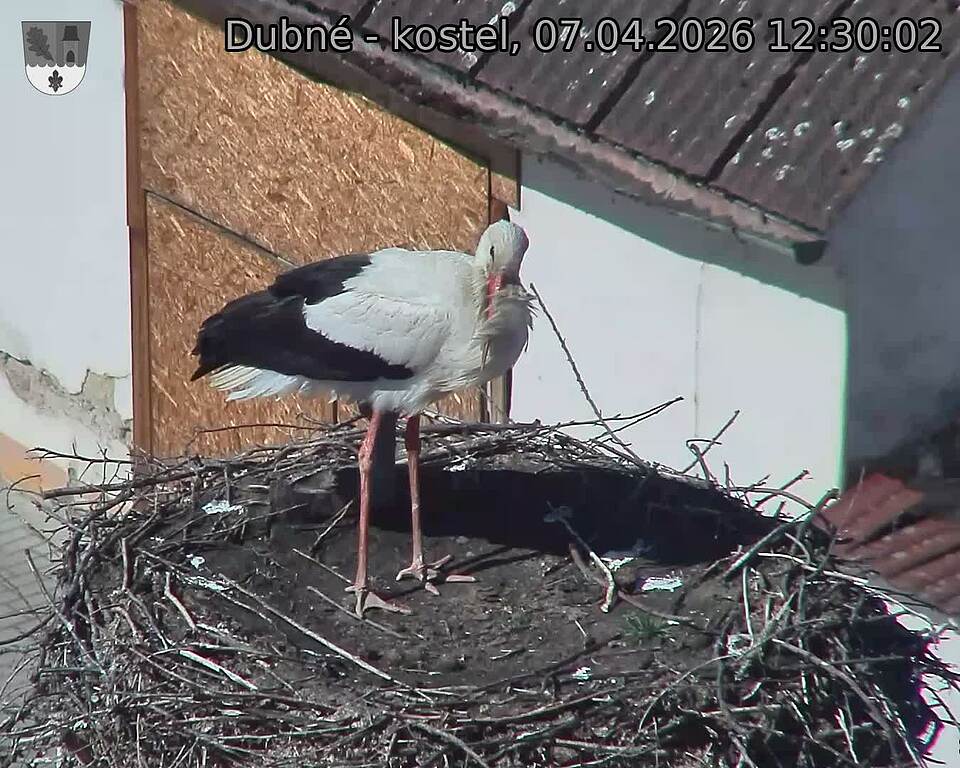 Capi_Dubne_20260407_123002.jpg (1350&nbsp;x&nbsp;1080)