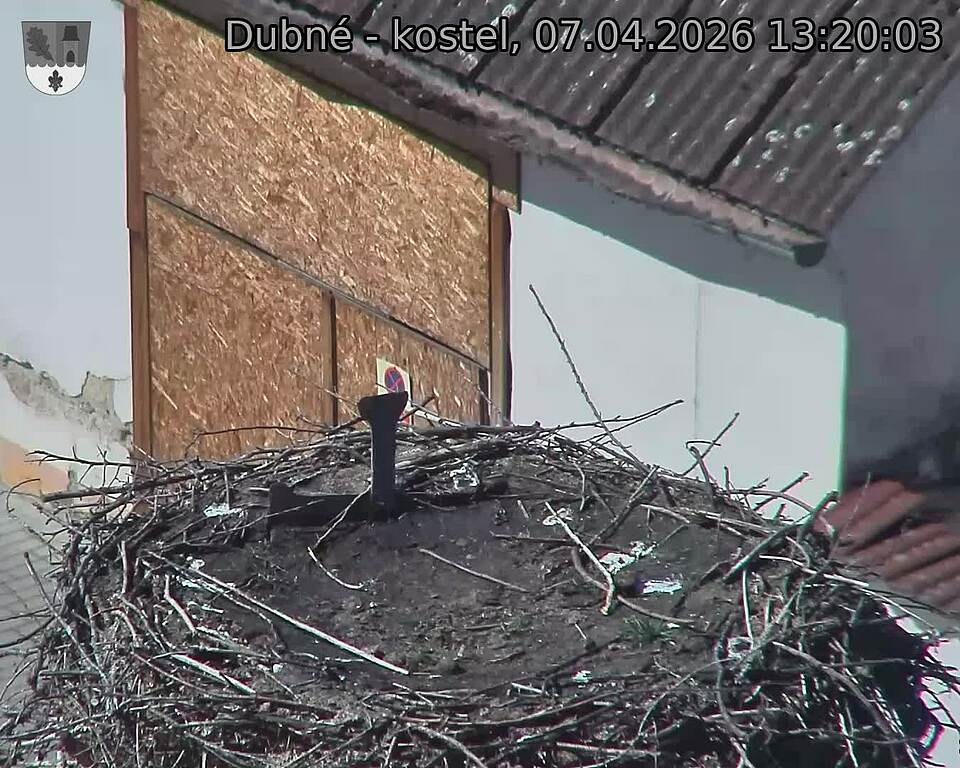 Capi_Dubne_20260407_132003.jpg (1350&nbsp;x&nbsp;1080)