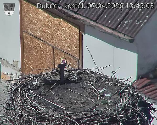 Capi_Dubne_20260407_134503.jpg (1350&nbsp;x&nbsp;1080)