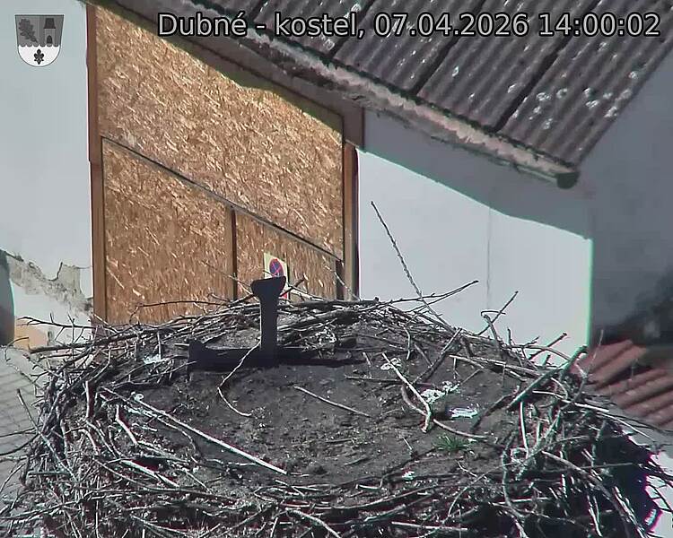 Capi_Dubne_20260407_140002.jpg (1350&nbsp;x&nbsp;1080)