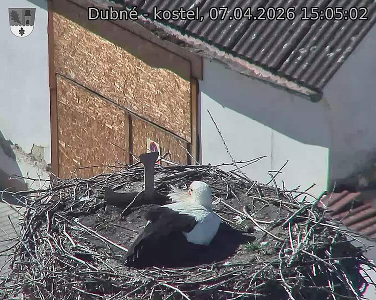 Capi_Dubne_20260407_150502.jpg (1350&nbsp;x&nbsp;1080)