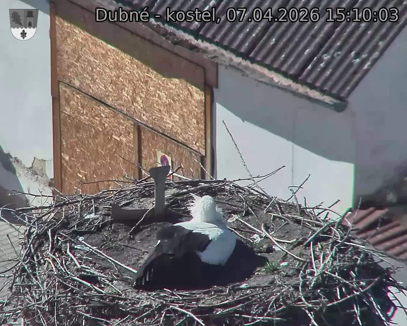 Capi_Dubne_20260407_151003.jpg (1350&nbsp;x&nbsp;1080)