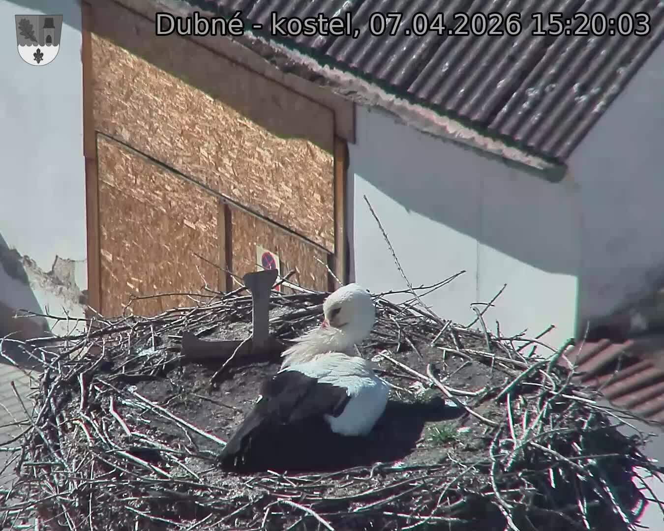 Capi_Dubne_20260407_152003.jpg (1350&nbsp;x&nbsp;1080)