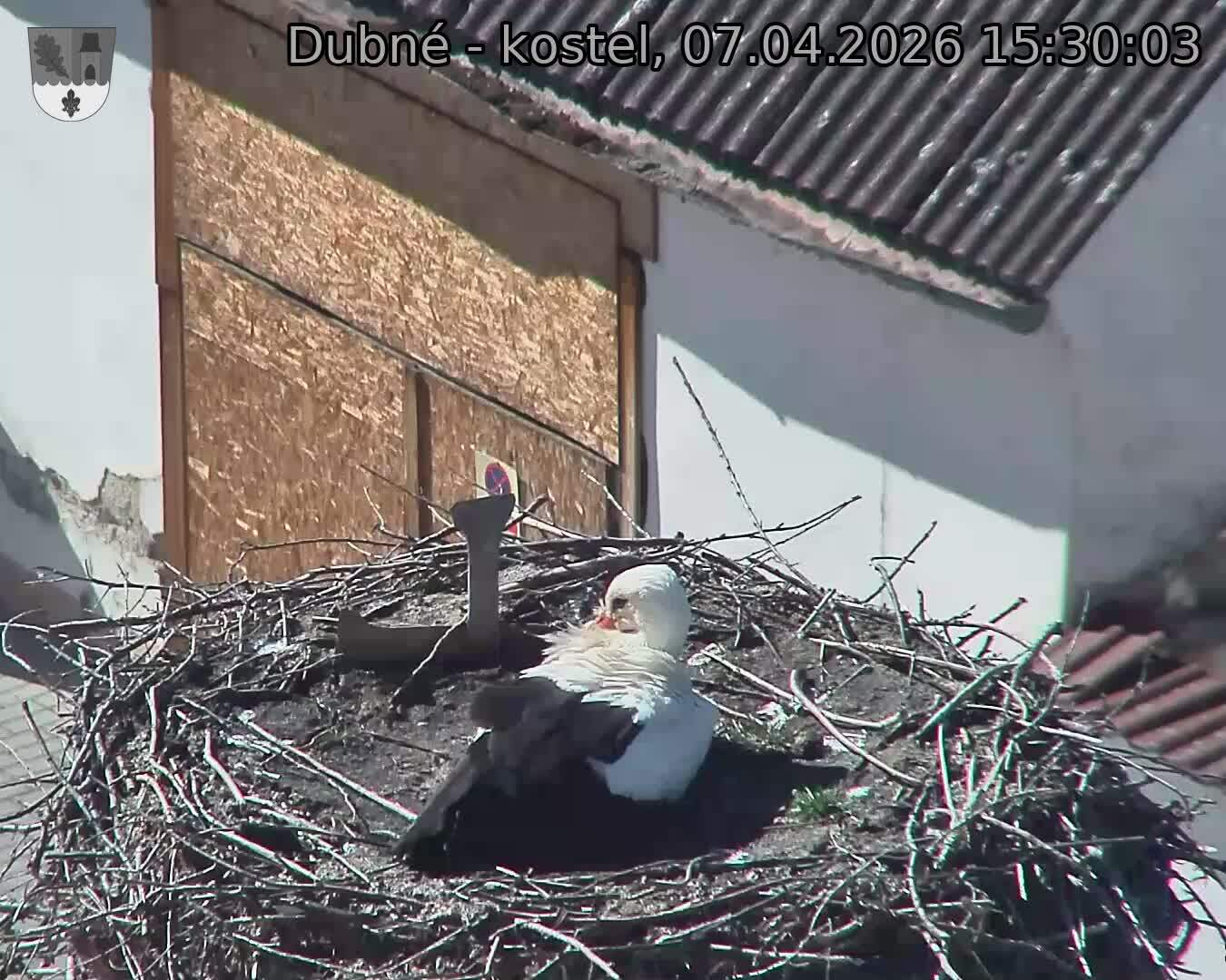 Capi_Dubne_20260407_153003.jpg (1350&nbsp;x&nbsp;1080)
