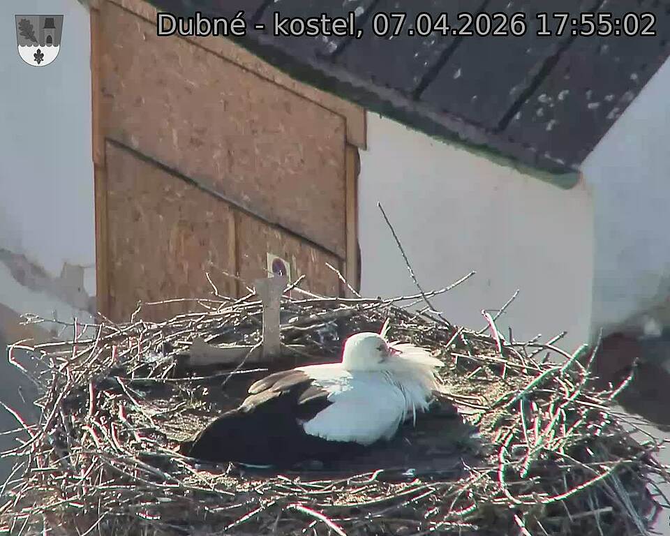 Capi_Dubne_20260407_175502.jpg (1350&nbsp;x&nbsp;1080)