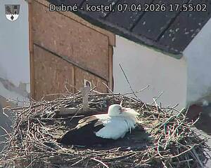 Capi_Dubne_20260407_175502.jpg (1350&nbsp;x&nbsp;1080)