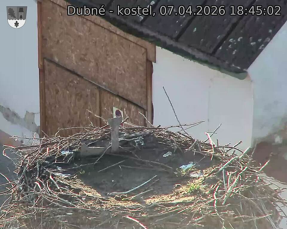 Capi_Dubne_20260407_184502.jpg (1350&nbsp;x&nbsp;1080)