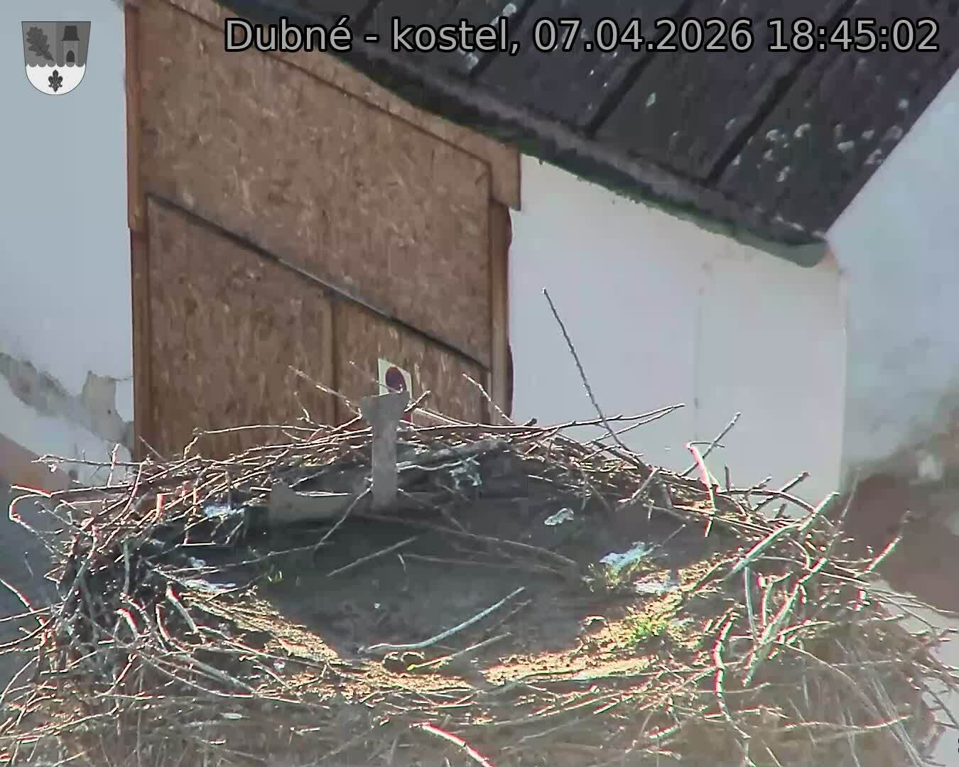 Capi_Dubne_20260407_184502.jpg (1350&nbsp;x&nbsp;1080)