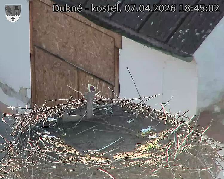 Capi_Dubne_20260407_184502.jpg (1350&nbsp;x&nbsp;1080)