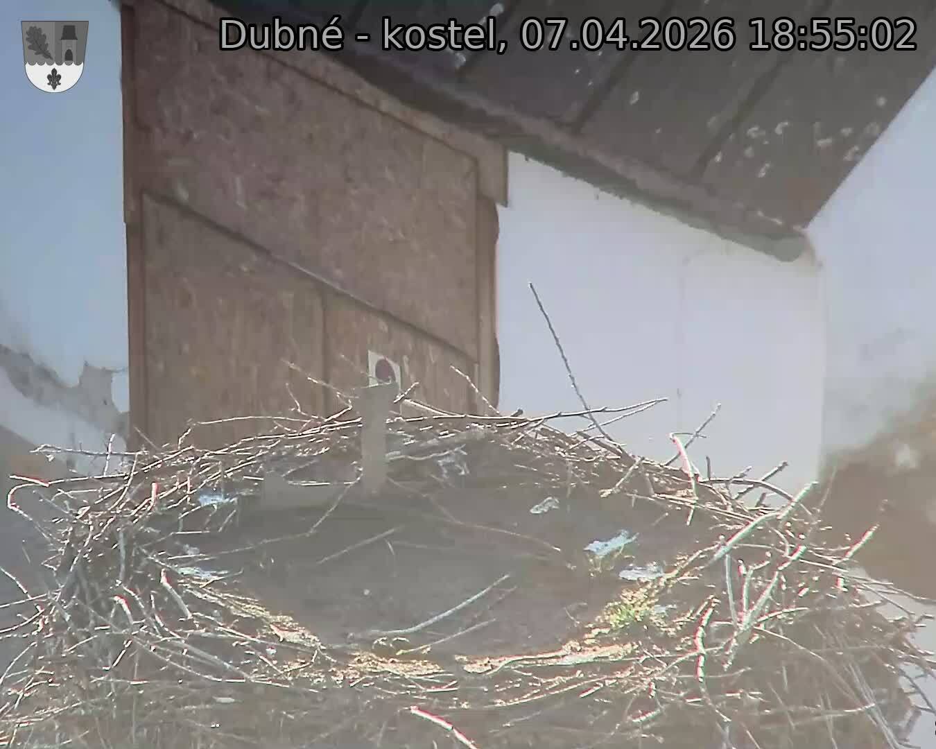 Capi_Dubne_20260407_185502.jpg (1350&nbsp;x&nbsp;1080)