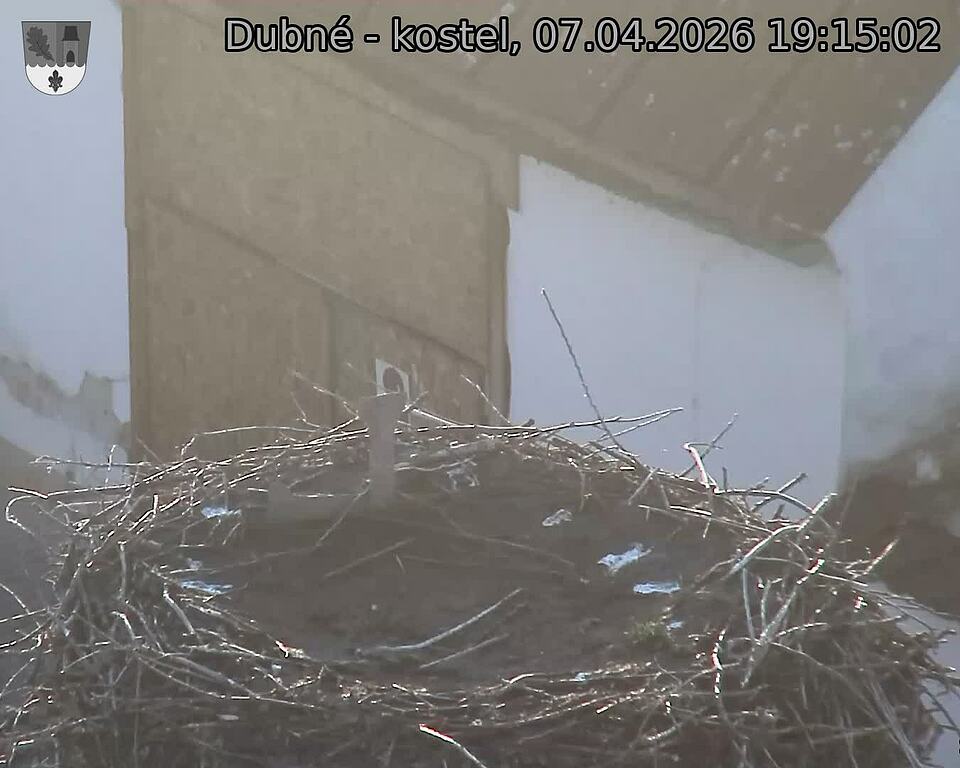 Capi_Dubne_20260407_191502.jpg (1350&nbsp;x&nbsp;1080)