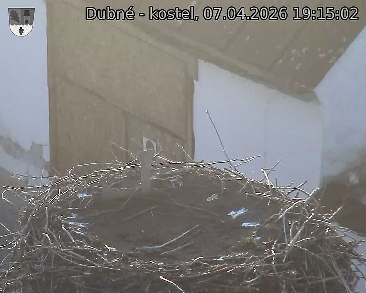 Capi_Dubne_20260407_191502.jpg (1350&nbsp;x&nbsp;1080)