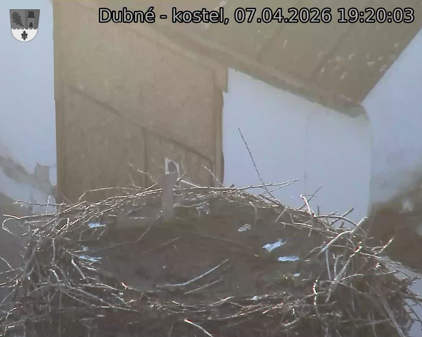 Capi_Dubne_20260407_192003.jpg (1350&nbsp;x&nbsp;1080)