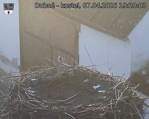 Capi_Dubne_20260407_192003.jpg (1350&nbsp;x&nbsp;1080)