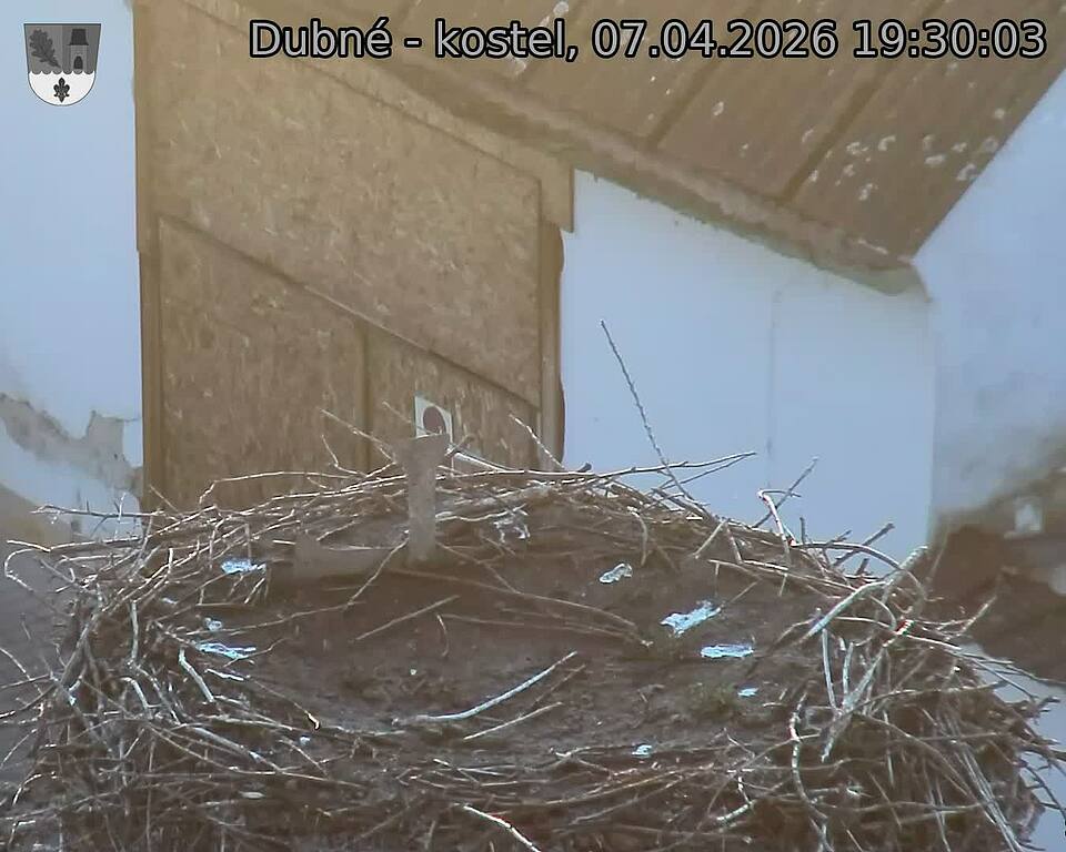 Capi_Dubne_20260407_193003.jpg (1350&nbsp;x&nbsp;1080)