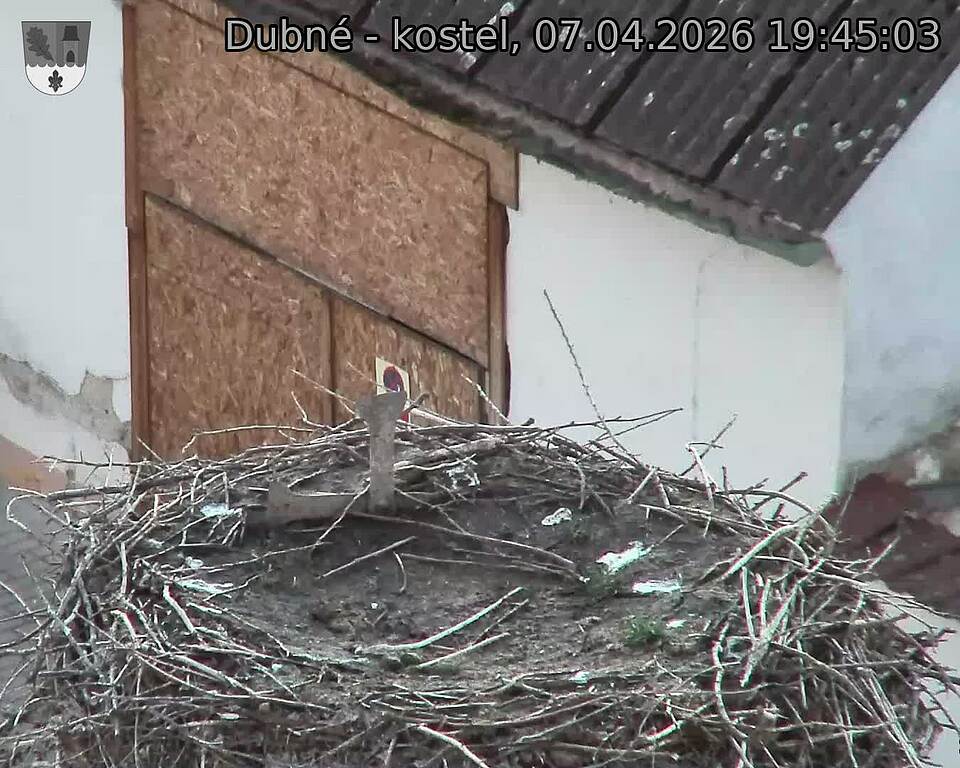 Capi_Dubne_20260407_194503.jpg (1350&nbsp;x&nbsp;1080)