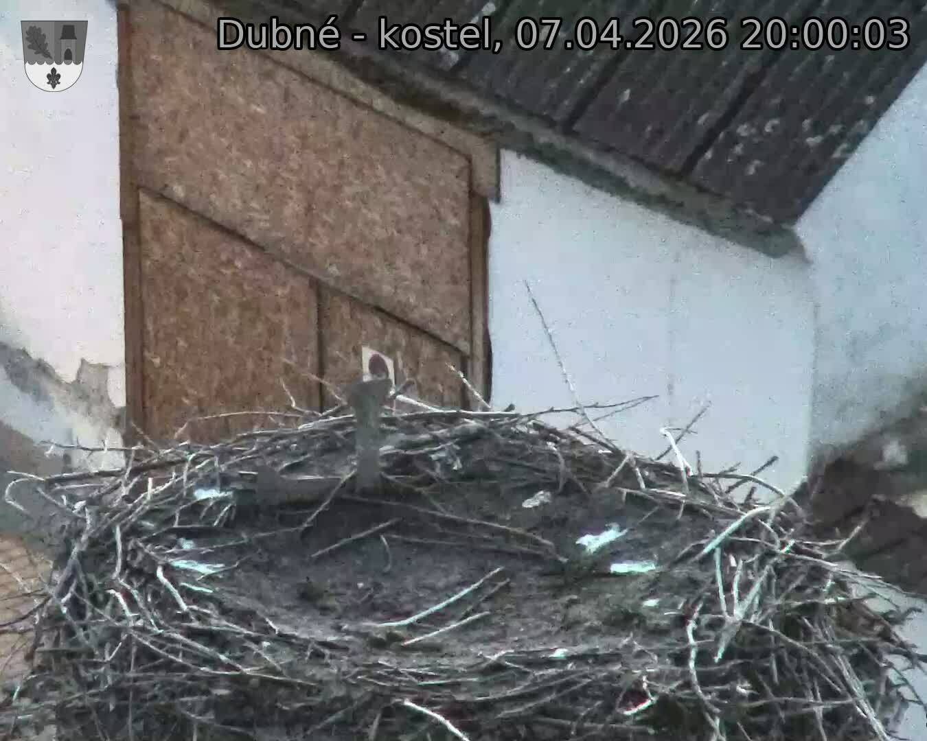 Capi_Dubne_20260407_200003.jpg (1350&nbsp;x&nbsp;1080)