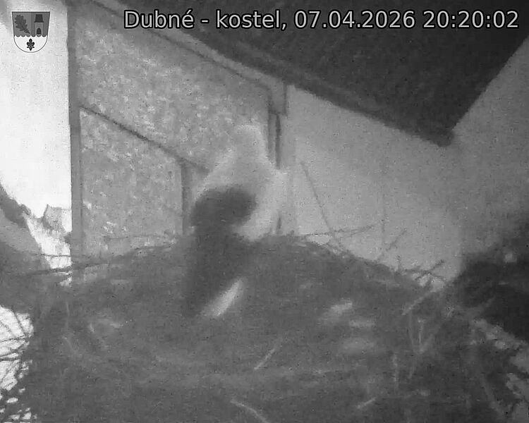 Capi_Dubne_20260407_202002.jpg (1350&nbsp;x&nbsp;1080)