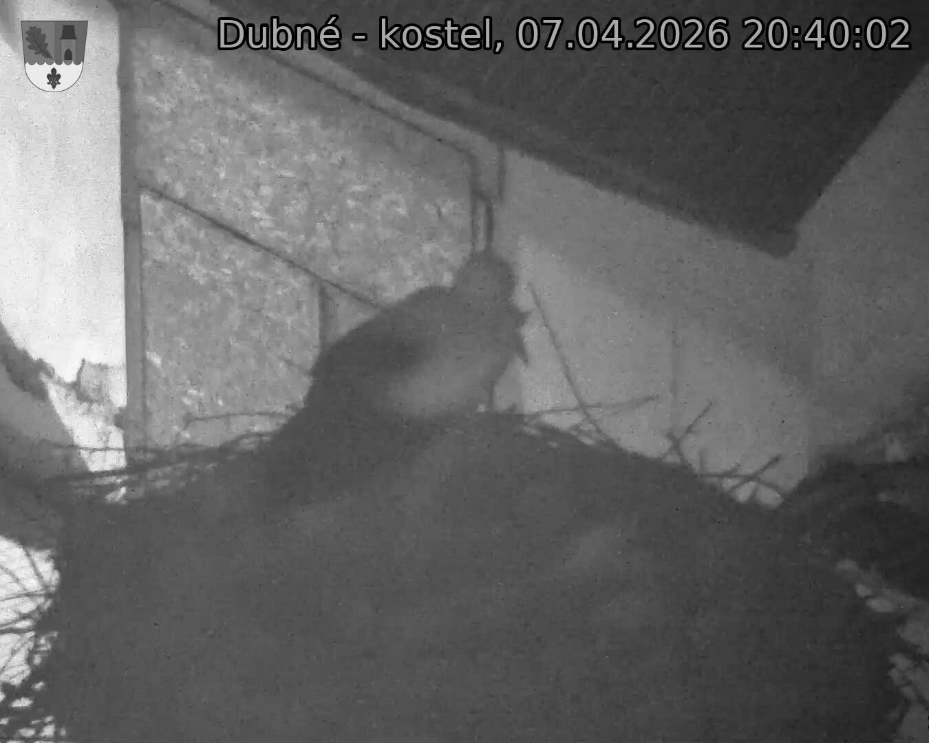 Capi_Dubne_20260407_204002.jpg (1350&nbsp;x&nbsp;1080)