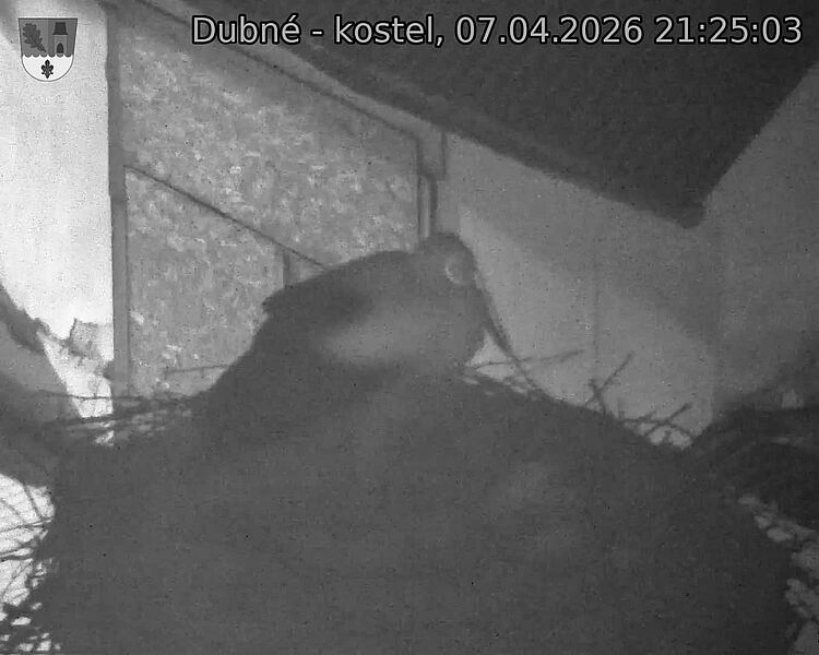 Capi_Dubne_20260407_212503.jpg (1350&nbsp;x&nbsp;1080)