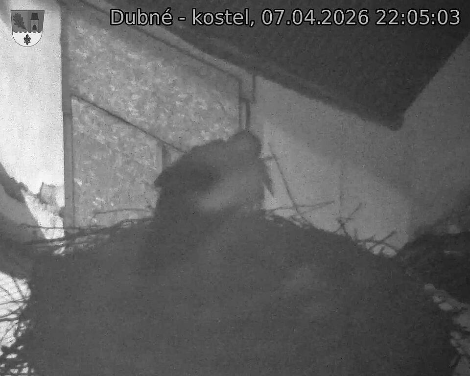 Capi_Dubne_20260407_220503.jpg (1350&nbsp;x&nbsp;1080)