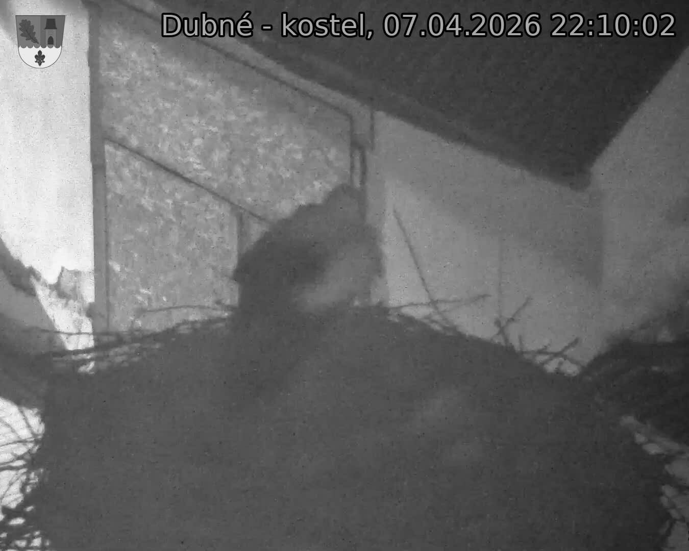 Capi_Dubne_20260407_221002.jpg (1350&nbsp;x&nbsp;1080)