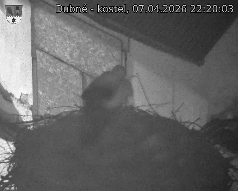 Capi_Dubne_20260407_222003.jpg (1350&nbsp;x&nbsp;1080)