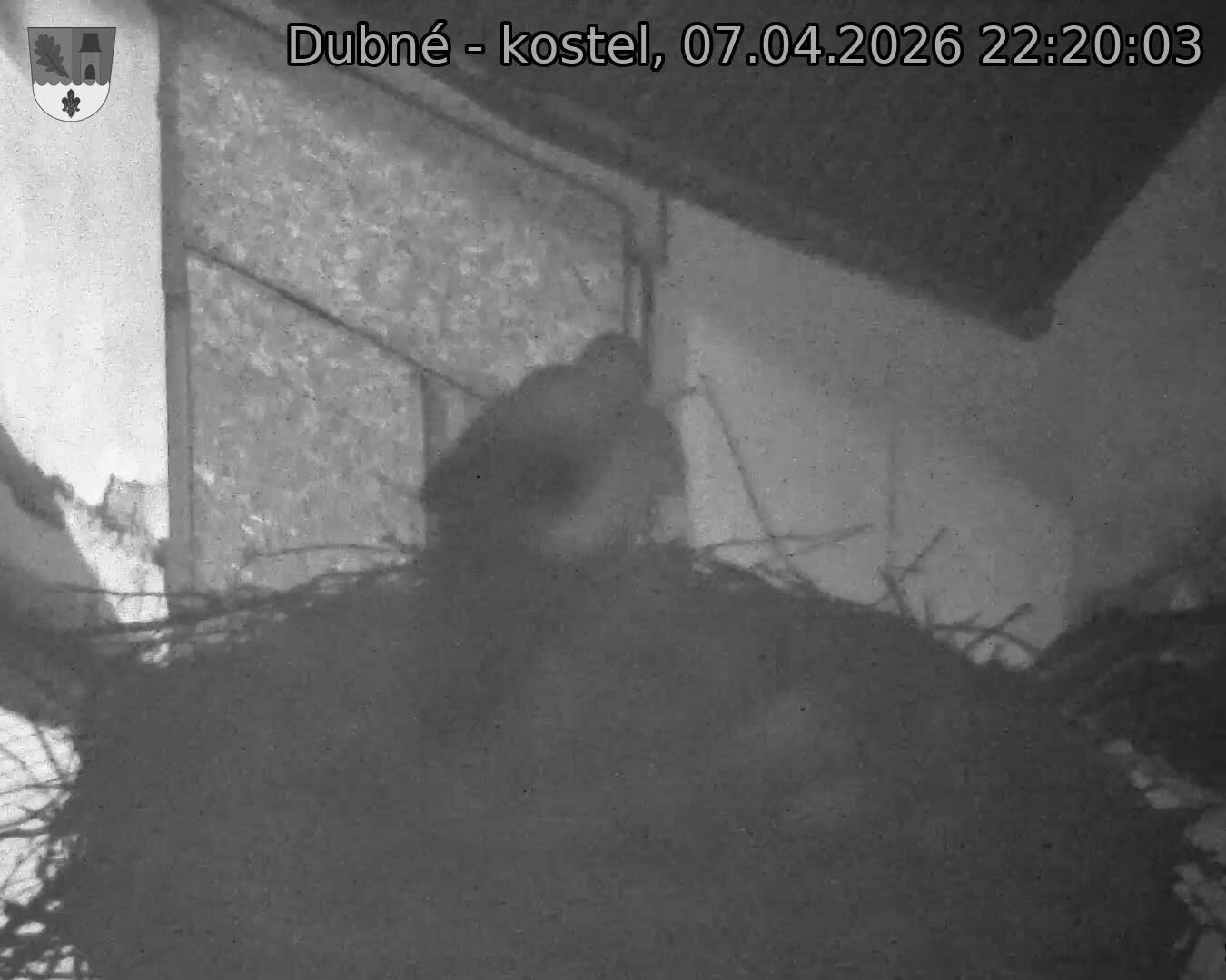 Capi_Dubne_20260407_222003.jpg (1350&nbsp;x&nbsp;1080)