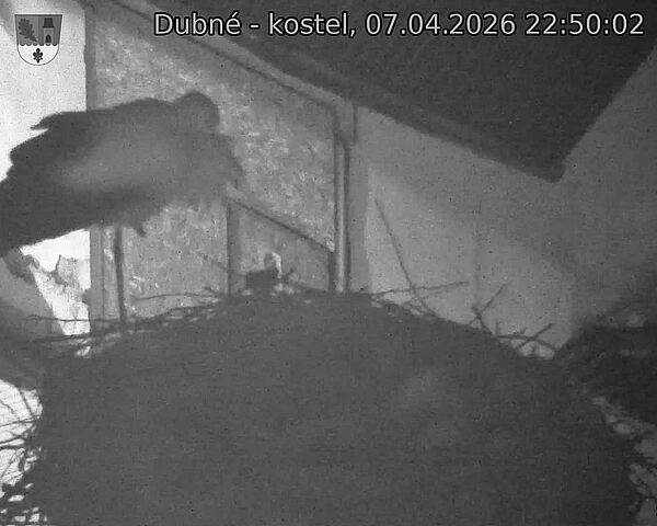 Capi_Dubne_20260407_225002.jpg (1350&nbsp;x&nbsp;1080)