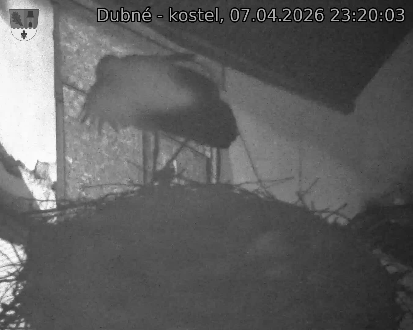 Capi_Dubne_20260407_232003.jpg (1350&nbsp;x&nbsp;1080)