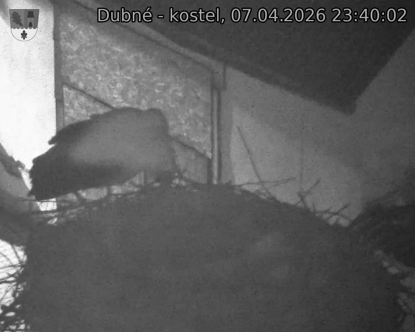 Capi_Dubne_20260407_234002.jpg (1350&nbsp;x&nbsp;1080)