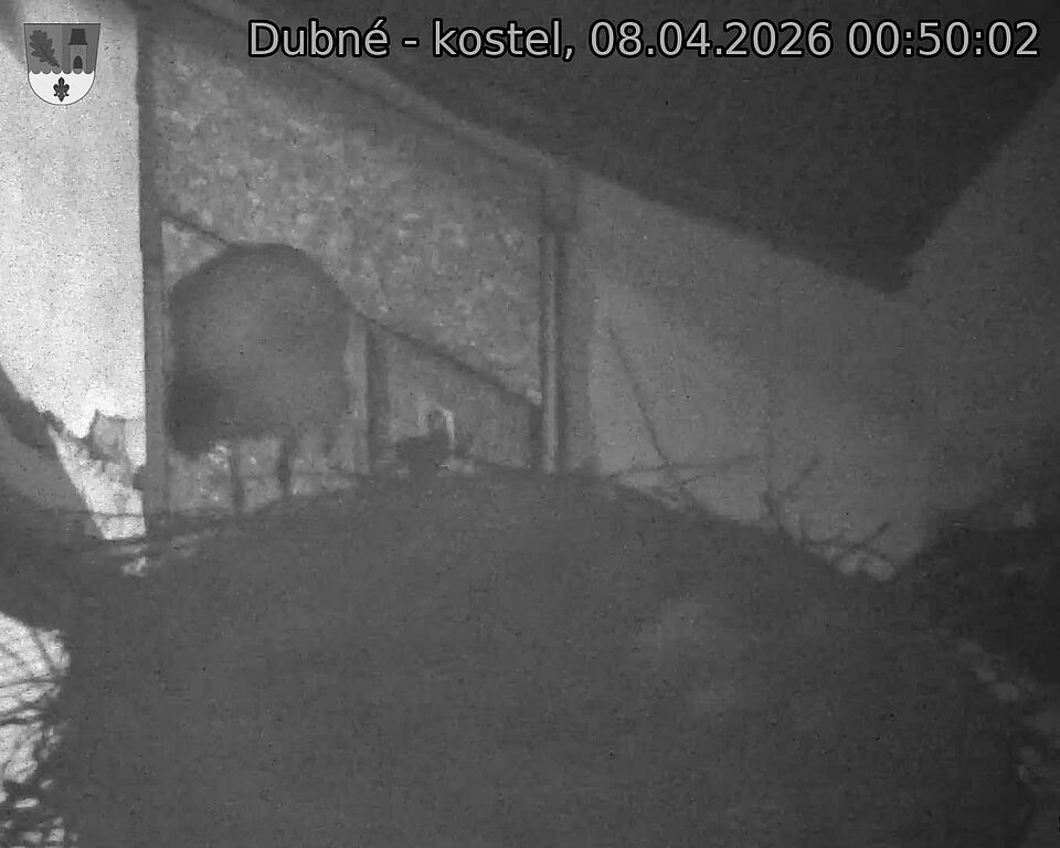 Capi_Dubne_20260408_005002.jpg (1350&nbsp;x&nbsp;1080)