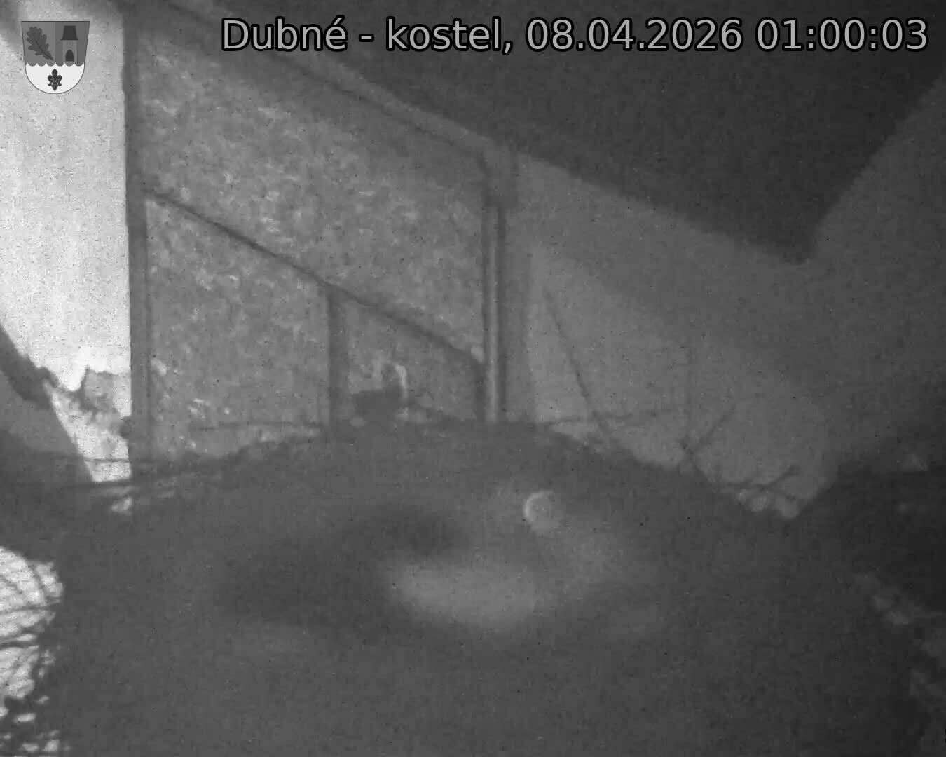 Capi_Dubne_20260408_010003.jpg (1350&nbsp;x&nbsp;1080)