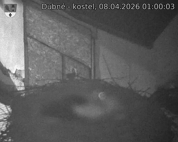 Capi_Dubne_20260408_010003.jpg (1350&nbsp;x&nbsp;1080)