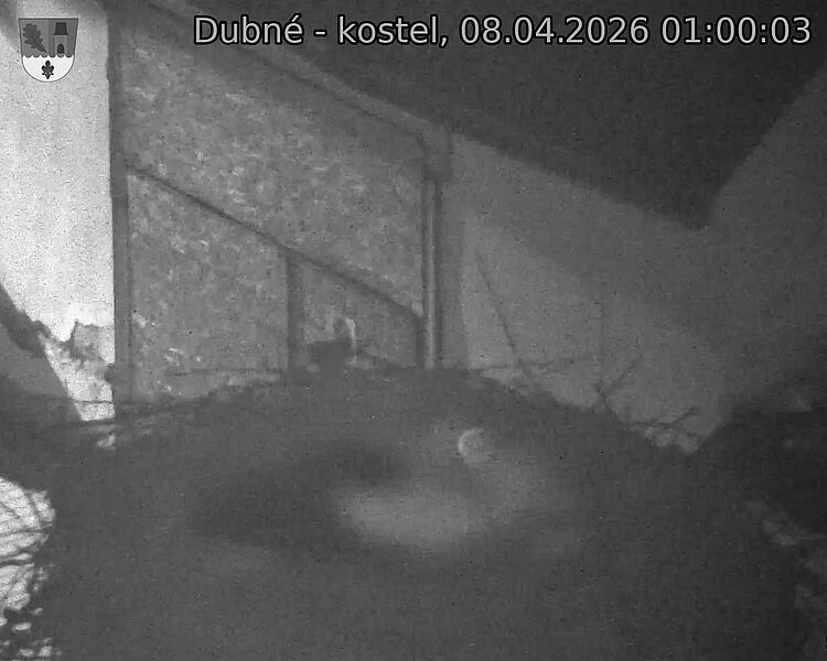 Capi_Dubne_20260408_010003.jpg (1350&nbsp;x&nbsp;1080)
