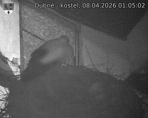 Capi_Dubne_20260408_010502.jpg (1350&nbsp;x&nbsp;1080)